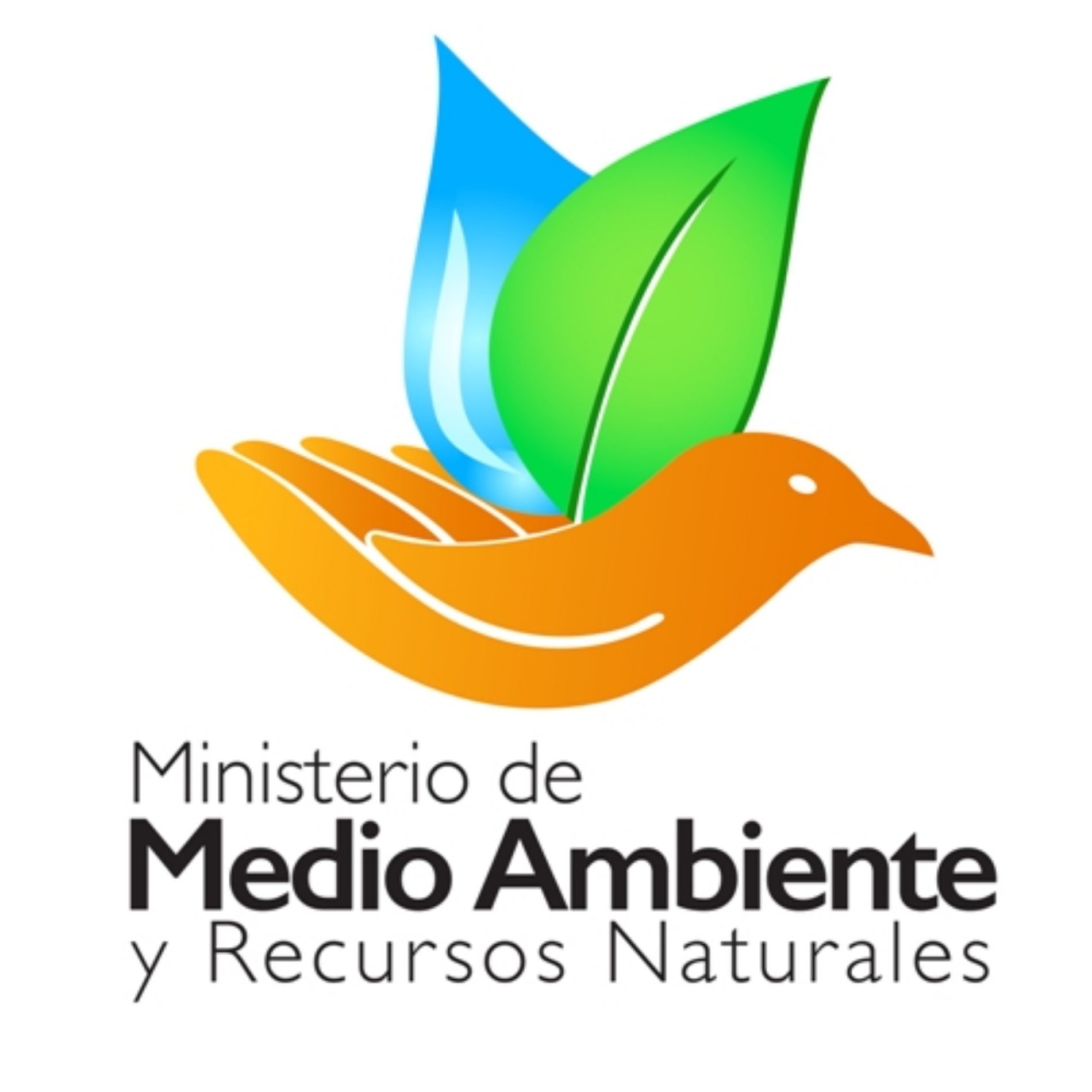 Ministerio de Medio Ambiente y Recursos Naturales